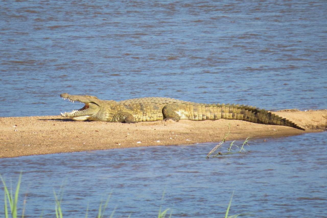 Crocodile Bridge Safari Lodge Komatipoort Luaran gambar